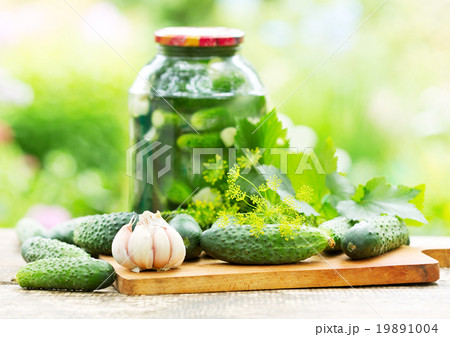 fresh and pickled cucumbers fresh and pickled cucumbers 19891004