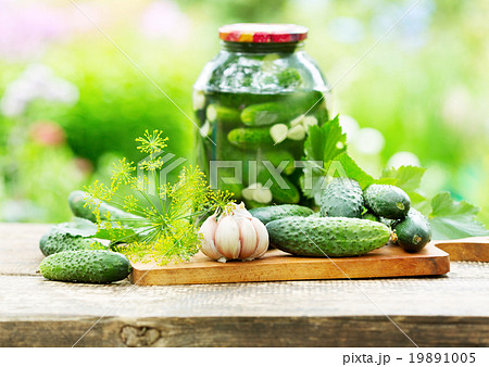 fresh and pickled cucumbers 19891005