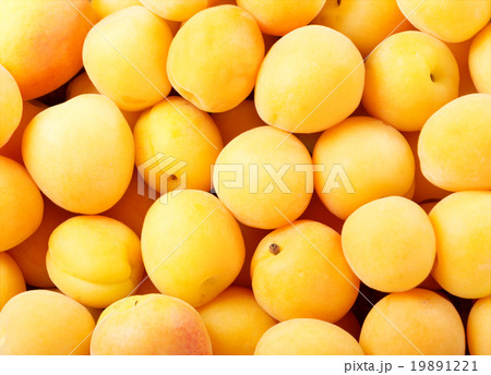 fresh apricots 19891221