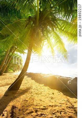 Sun over ocean Sun over ocean 19892217