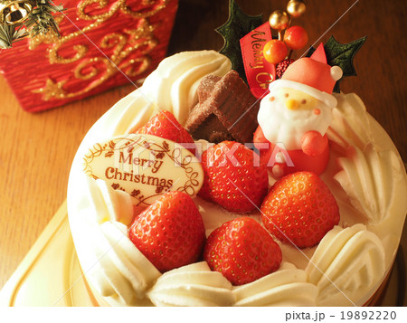 クリスマスケーキとクリスマスツリー クリスマスケーキとクリスマスツリー 19892220