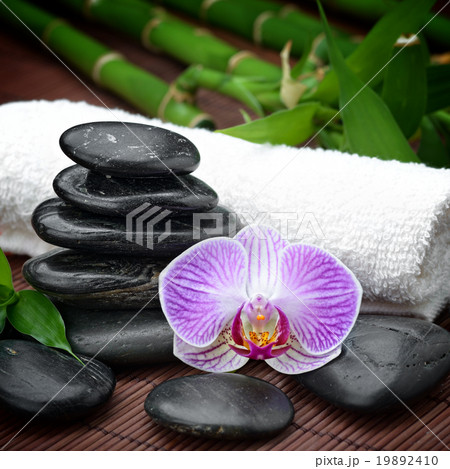 spa still life spa still life 19892410