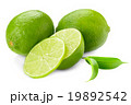 llime and leaves isolated on white 19892542