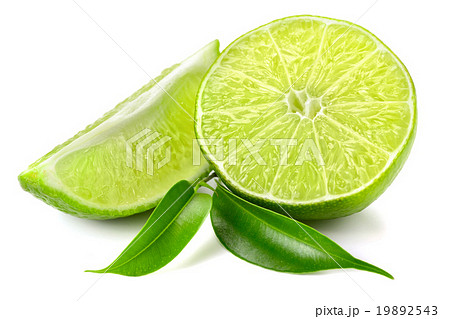 lime 19892543