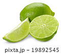 lime 19892545