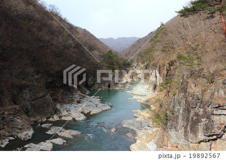 鬼怒楯岩大吊橋からみる鬼怒川 鬼怒楯岩大吊橋からみる鬼怒川 19892567