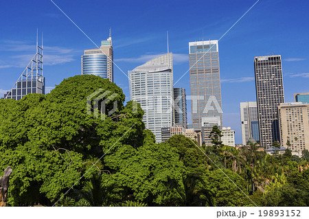 Skyline of Sydney with city central business Skyline of Sydney with city central business 19893152