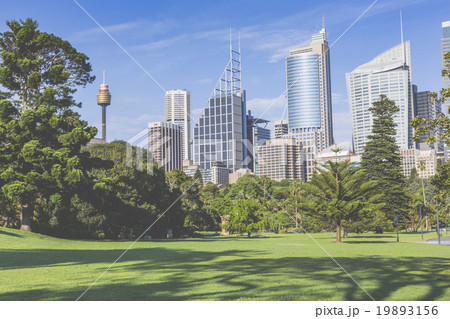 Skyline of Sydney with city central business Skyline of Sydney with city central business 19893156