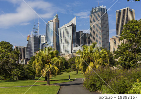 Skyline of Sydney with city central business Skyline of Sydney with city central business 19893167