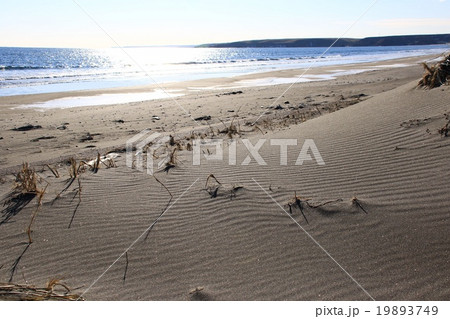 三里浜海岸の砂の風紋 三里浜海岸の砂の風紋 19893749