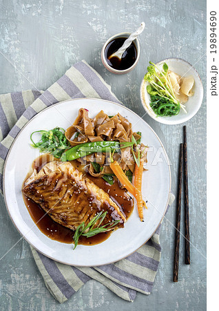 Salmon Teriyaki on Plate Salmon Teriyaki on Plate 19894690