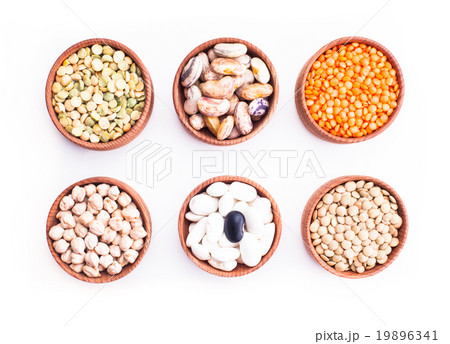 Types of beans 19896341