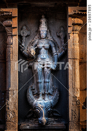 Hindu goddess Durga Mahisaurmardini image Hindu goddess Durga Mahisaurmardini image 19897895