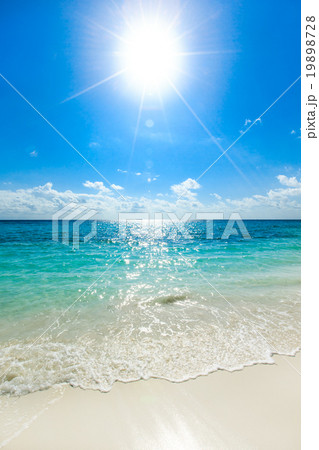 sea sea 19898728