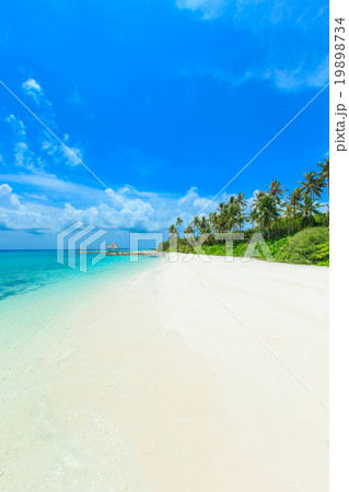 tropical beach in Maldives 19898734
