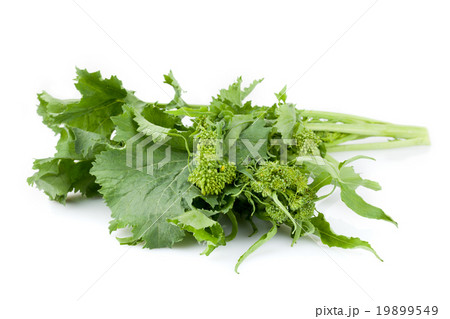 Fresh Rapini Fresh Rapini 19899549