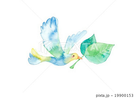 小鳥と葉っぱ 大サイズのイラスト素材 19900153 Pixta
