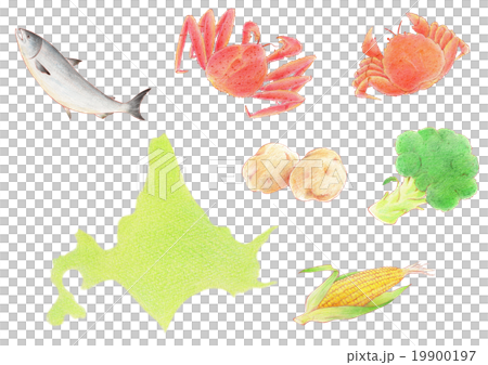 北海道食材 19900197