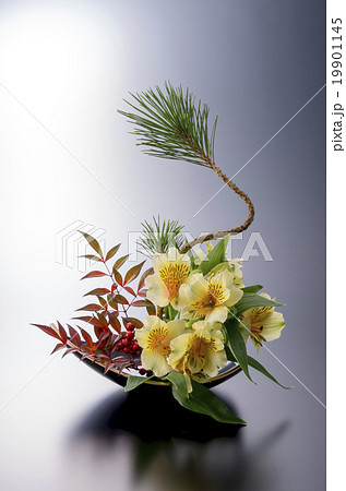 活け花 活け花 19901145