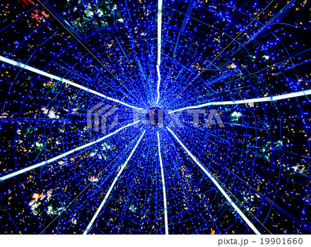 shining lights of a giant christmas tree shining lights of a giant christmas tree 19901660