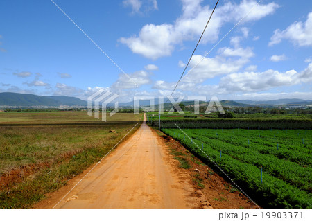 agriculture, Dalat, Vietnam, field, vegetable farm 19903371