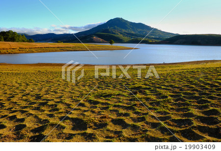 landscape,  Dalat , Vietnam, pine forest, lake 19903409