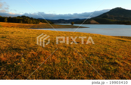 landscape,  Dalat , Vietnam, pine forest, lake 19903410