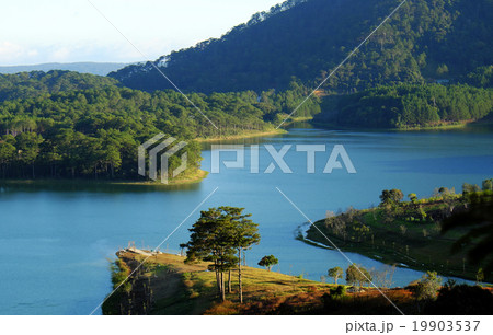 Dalat, Vietnam, eco travel, pine forest, Da Lat 19903537