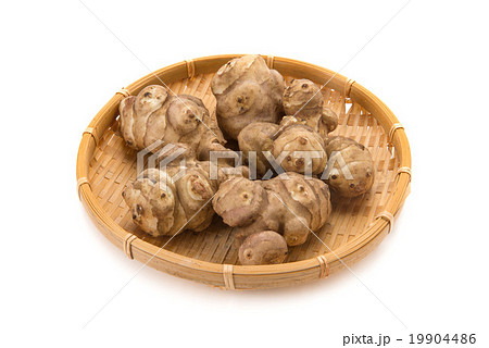 きくいも 19904486