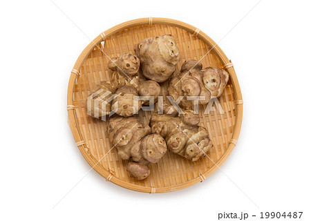 きくいも 19904487