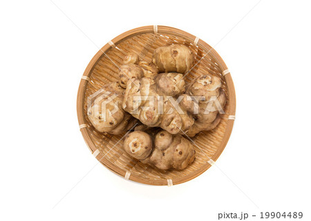 きくいも 19904489