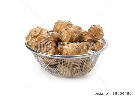 きくいも 19904490