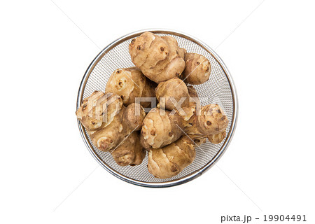 きくいも 19904491