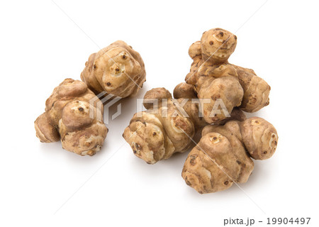 きくいも 19904497