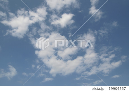 秋雲 19904567