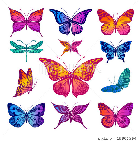 Butterflies graphic illustration Butterflies graphic illustration 19905594