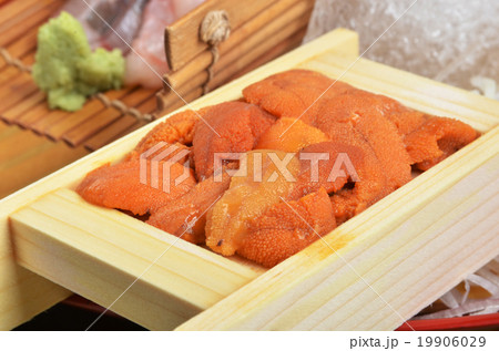 Japanese Food - sea urchin Japanese Food - sea urchin 19906029