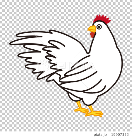 A Chicken Stock Illustration