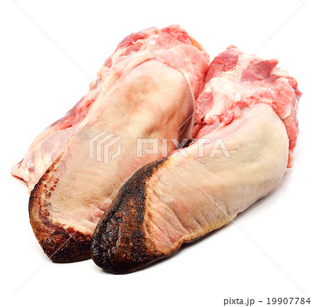 pork tongue 19907784