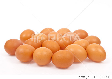 Eggs Eggs 19908834
