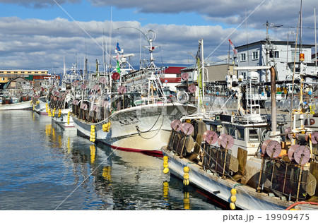 函館散歩：入船漁港 19909475