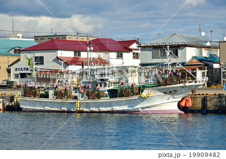 函館散歩：入船漁港 19909482