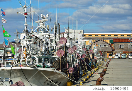 函館散歩：入船漁港 19909492