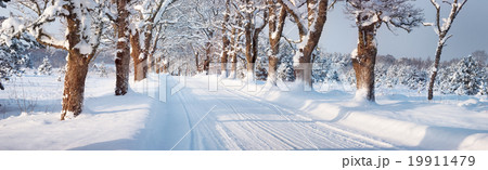 winter road in the morning 19911479