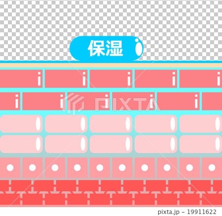 皮膚保濕 19911622