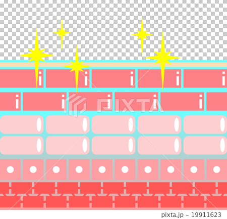 皮膚保濕 皮膚保濕 19911623