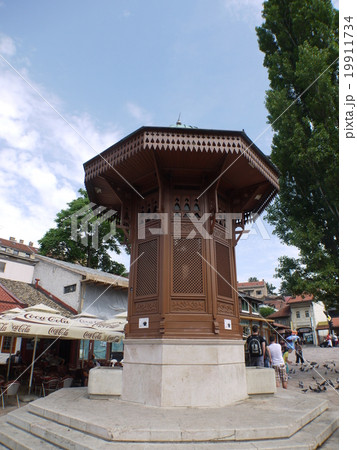 バチチャルシャ 19911734