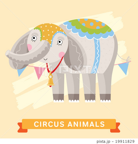 Circus Elephant, vector animal series. Circus Elephant, vector animal series. 19911829