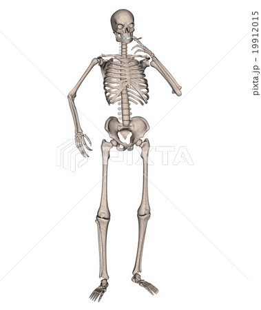 Skeleton Smoking a Cigarette Skeleton Smoking a Cigarette 19912015