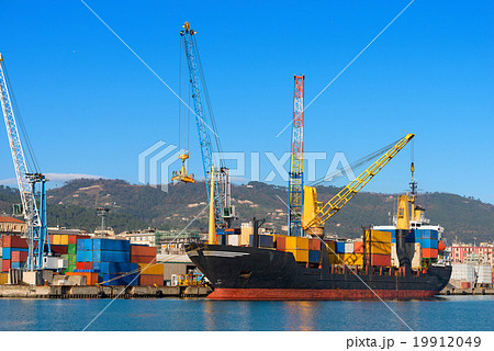 Container Ship in the Harbor 19912049